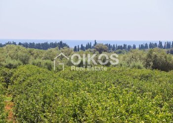 Foto 13 - Villa C.da Vaddeddi
 
s.n.c, Noto - foto 13