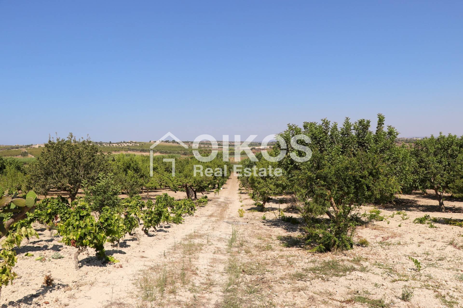 Foto 3 - Rustico sp11, Noto - foto 3