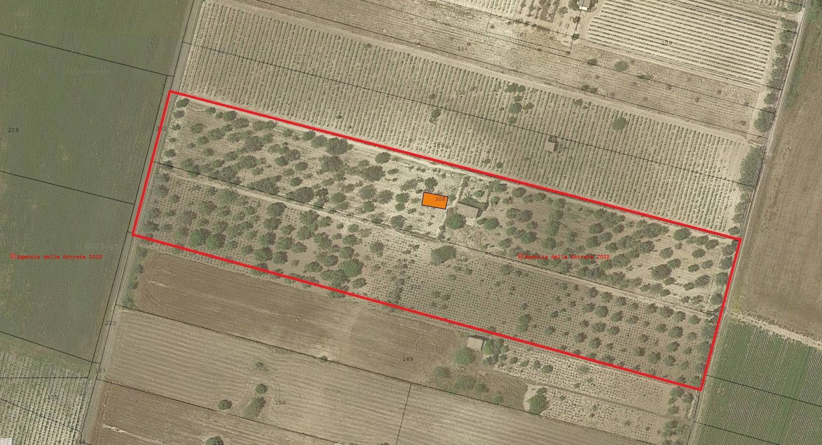 Foto 21 - Rustico sp11, Noto - planimetria 1