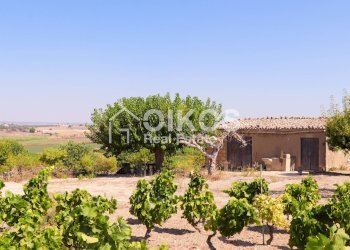 Foto 1 - Rustico sp11, Noto - foto 1