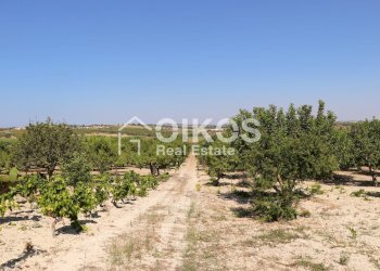 Foto 3 - Rustico sp11, Noto - foto 3