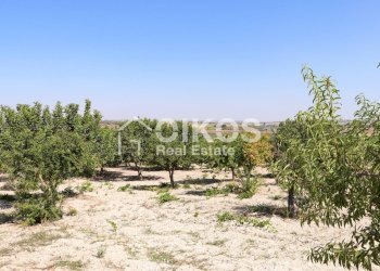 Foto 4 - Rustico sp11, Noto - foto 4