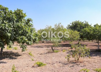 Foto 6 - Rustico sp11, Noto - foto 6