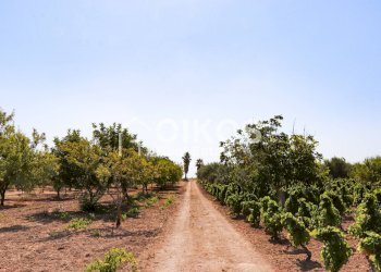 Foto 7 - Rustico sp11, Noto - foto 7