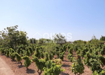 Foto 8 - Rustico sp11, Noto - foto 8