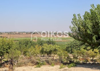 Foto 9 - Rustico sp11, Noto - foto 9