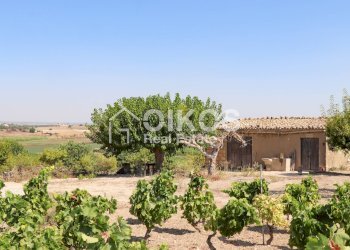 Foto 10 - Rustico sp11, Noto - foto 10