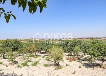 Foto 12 - Rustico sp11, Noto - foto 12