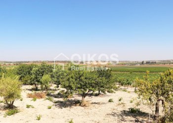 Foto 13 - Rustico sp11, Noto - foto 13