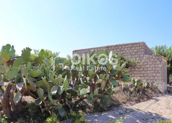 Foto 14 - Rustico sp11, Noto - foto 14