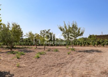 Foto 16 - Rustico sp11, Noto - foto 16