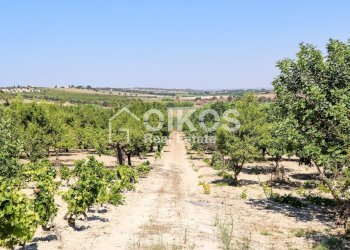 Foto 18 - Rustico sp11, Noto - foto 18