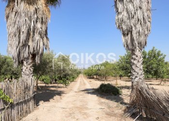 Foto 19 - Rustico sp11, Noto - foto 19