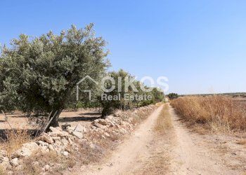 Foto 20 - Rustico sp11, Noto - foto 20