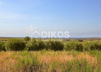 Foto 2 - Terreno agricolo C.da Agliastro
 
s.n.c., Noto - foto 2