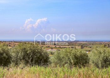 Foto 3 - Terreno agricolo C.da Agliastro
 
s.n.c., Noto - foto 3