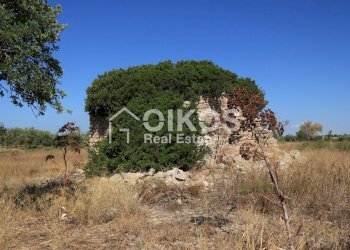 Foto 4 - Terreno agricolo C.da Agliastro
 
s.n.c., Noto - foto 4
