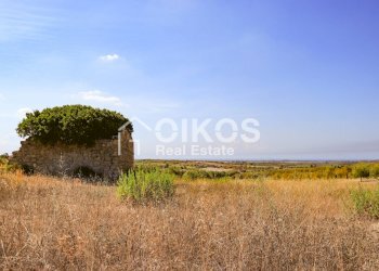Foto 5 - Terreno agricolo C.da Agliastro
 
s.n.c., Noto - foto 5