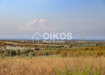 Foto 6 - Terreno agricolo C.da Agliastro
 
s.n.c., Noto - foto 6