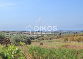 Foto 7 - Terreno agricolo C.da Agliastro
 
s.n.c., Noto - foto 7