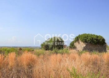 Foto 10 - Terreno agricolo C.da Agliastro
 
s.n.c., Noto - foto 10