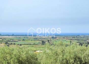 Foto 12 - Terreno agricolo C.da Agliastro
 
s.n.c., Noto - foto 11