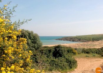 Foto 17 - Casa indipendente Via Rocco Pirri
 
1, Noto - foto 17