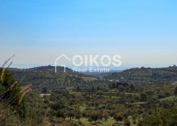 Foto 1 - Terreno agricolo c.da Bochini
 
s.n.c, Avola - foto 1