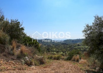 Foto 3 - Terreno agricolo c.da Bochini
 
s.n.c, Avola - foto 3