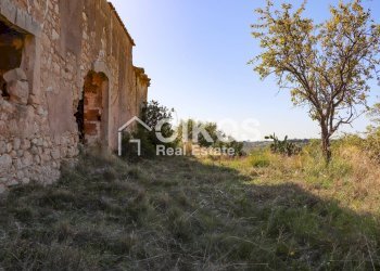 Foto 4 - Terreno agricolo c.da Bochini
 
s.n.c, Avola - foto 4
