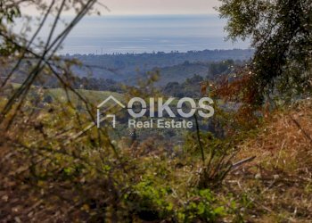 Foto 8 - Terreno agricolo c.da Bochini
 
s.n.c, Avola - foto 8