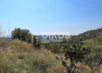 Foto 10 - Terreno agricolo c.da Bochini
 
s.n.c, Avola - foto 10