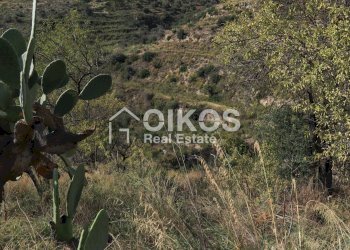 Foto 12 - Terreno agricolo c.da Bochini
 
s.n.c, Avola - foto 12