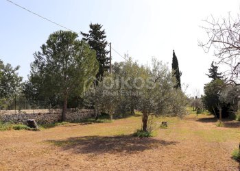Foto 4 - Terreno agricolo C.da Volpiglia
 
s.n.c, Noto - foto 4