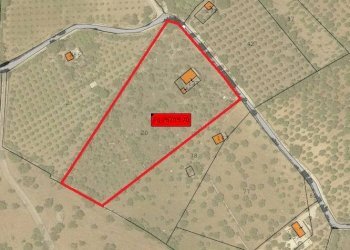 Foto 10 - Terreno agricolo C.da Volpiglia
 
s.n.c, Noto - foto 10