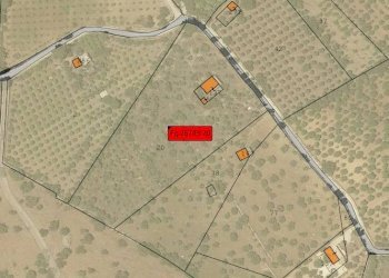 Foto 11 - Terreno agricolo C.da Volpiglia
 
s.n.c, Noto - foto 11