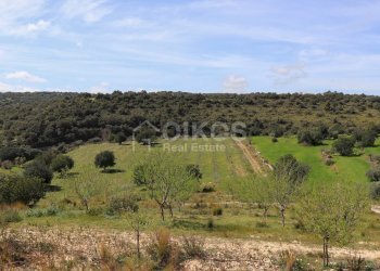 Foto 1 - Terreno agricolo c.da castelluccio, Noto - foto 1