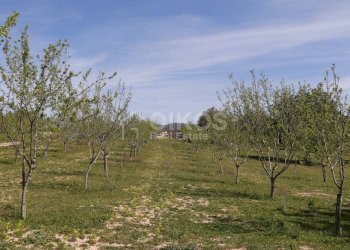 Foto 2 - Terreno agricolo c.da castelluccio, Noto - foto 2