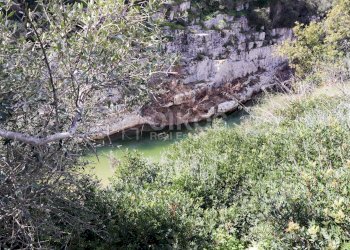 Foto 9 - Terreno agricolo c.da castelluccio, Noto - foto 9