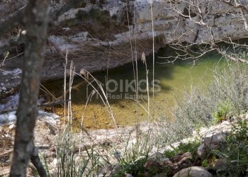 Foto 10 - Terreno agricolo c.da castelluccio, Noto - foto 10