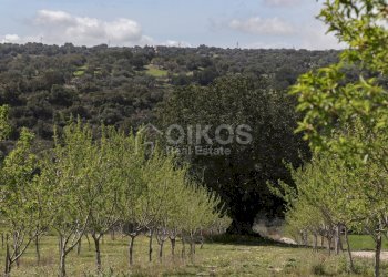 Foto 11 - Terreno agricolo c.da castelluccio, Noto - foto 11