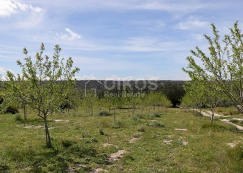 Foto 13 - Terreno agricolo c.da castelluccio, Noto - foto 13