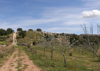 Foto 14 - Terreno agricolo c.da castelluccio, Noto - foto 14