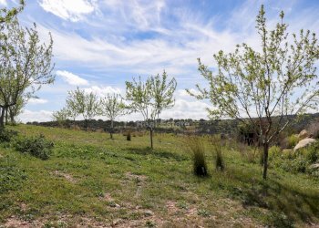 Foto 15 - Terreno agricolo c.da castelluccio, Noto - foto 15