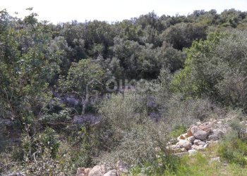 Foto 17 - Terreno agricolo c.da castelluccio, Noto - foto 17