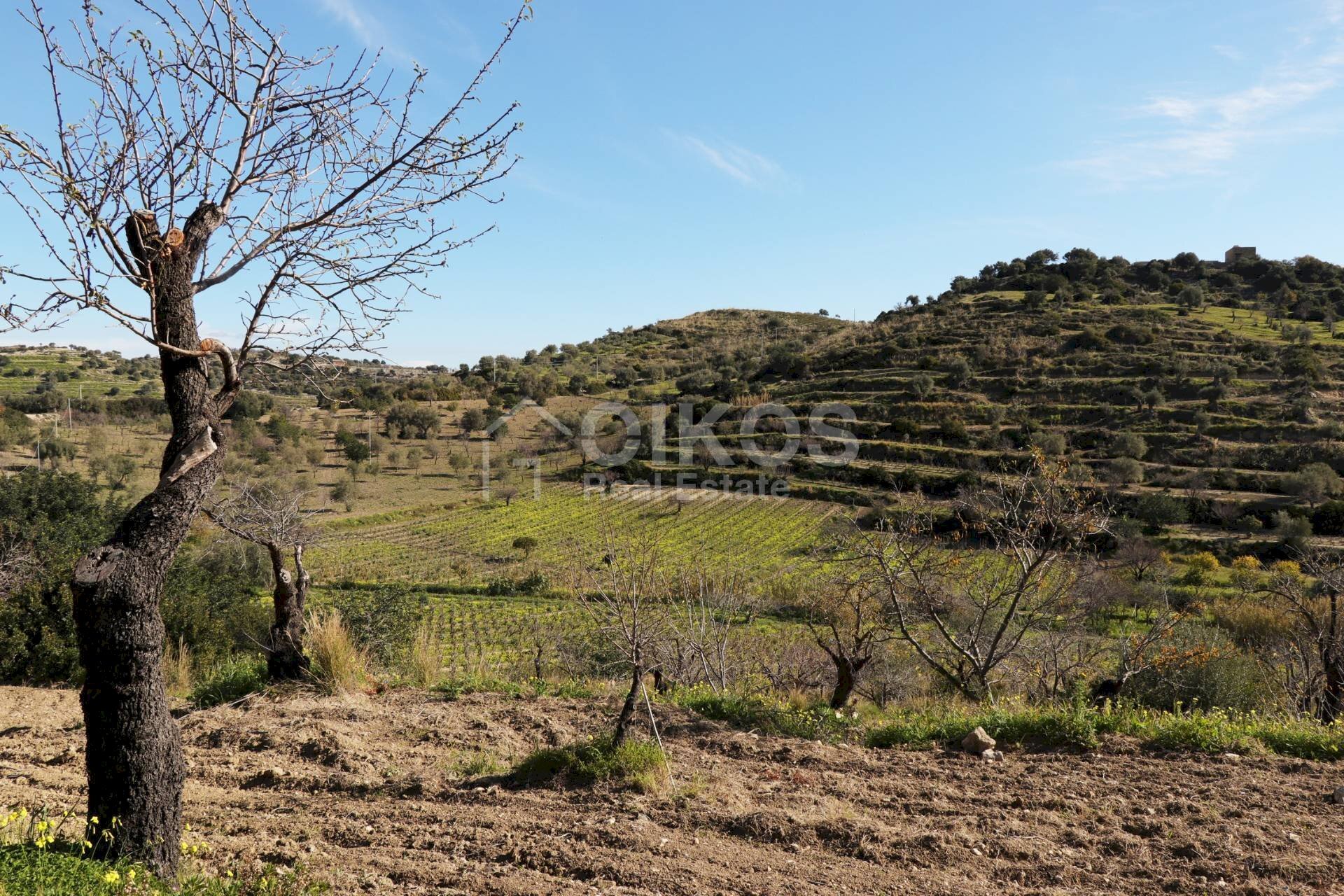 Foto 2 - Terreno agricolo C.da Bochini
 
s.n.c, Avola - foto 2