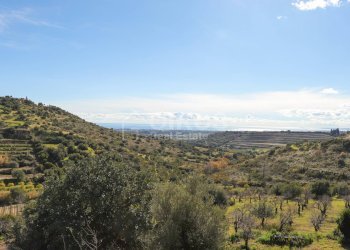 Foto 1 - Terreno agricolo C.da Bochini
 
s.n.c, Avola - foto 1