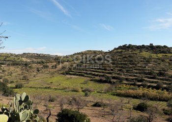 Foto 3 - Terreno agricolo C.da Bochini
 
s.n.c, Avola - foto 3