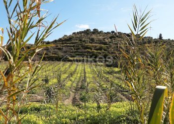 Foto 4 - Terreno agricolo C.da Bochini
 
s.n.c, Avola - foto 4