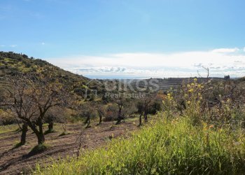 Foto 7 - Terreno agricolo C.da Bochini
 
s.n.c, Avola - foto 7